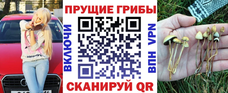 Галлюциногенные грибы GOLDEN TEACHER  Купить где  Питкяранта 