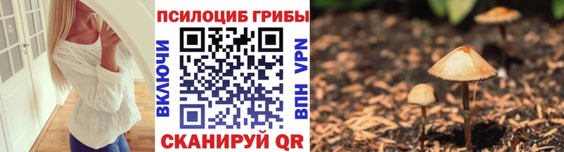 Галлюциногенные грибы Magic Shrooms Питкяранта