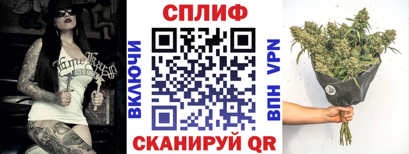 Бошки марихуана сатива  Купить закладки  Питкяранта 